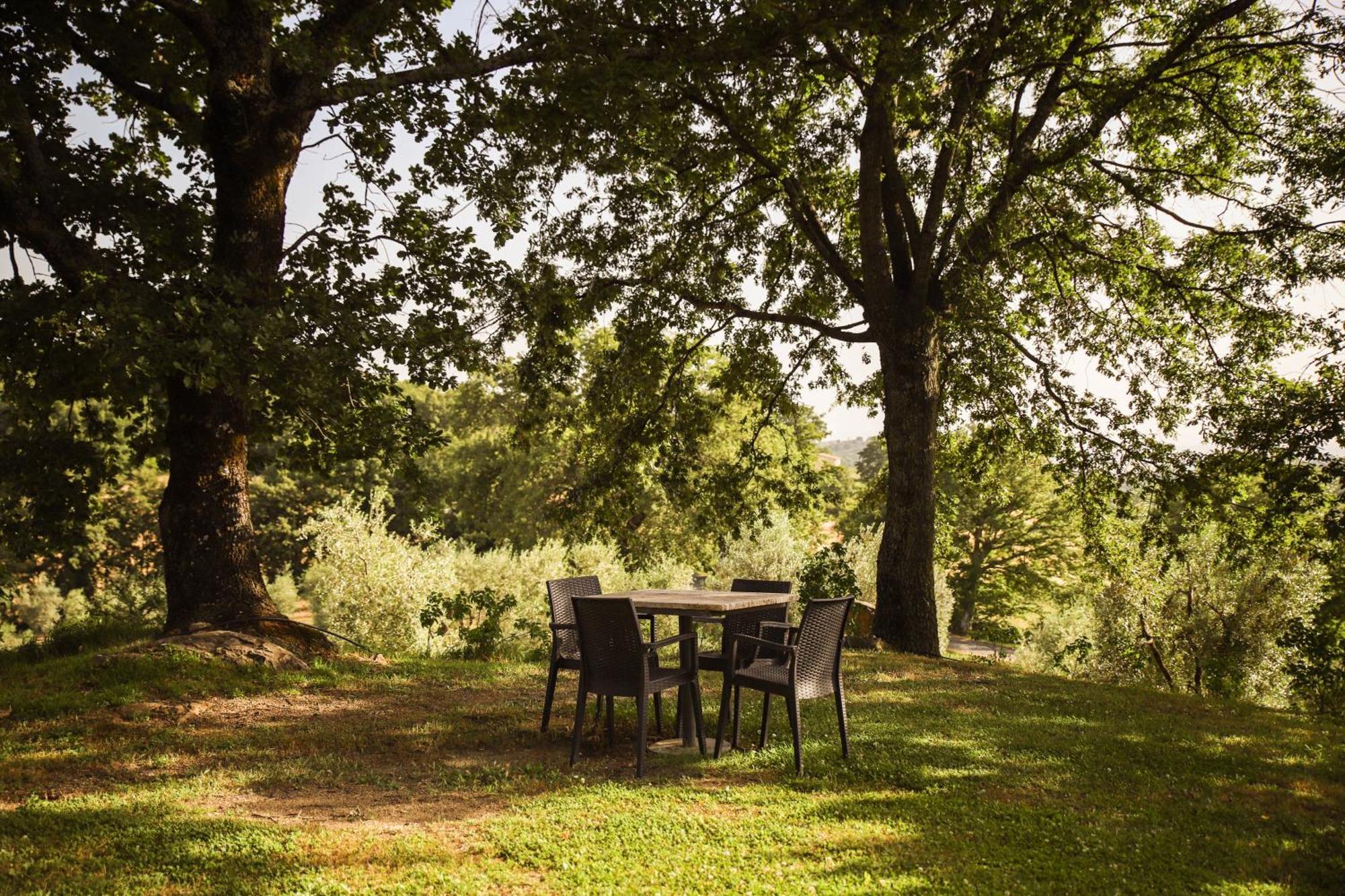 Bio Agriturismo Poggio Aione Villa Saturnia Buitenkant foto